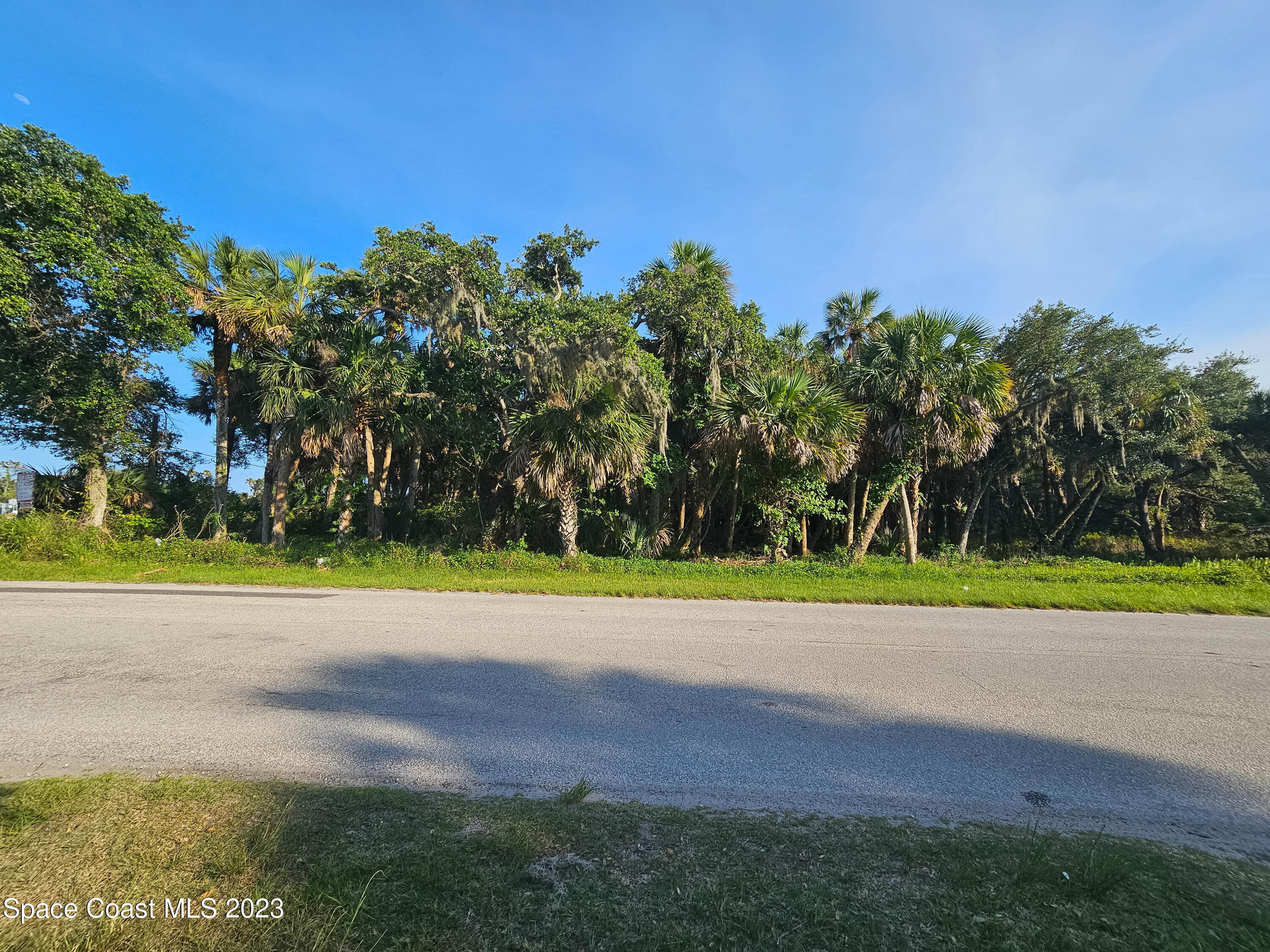 6 Shell Pit Road Grant Valkaria, FL 32949 - Photo 6 of 6 a view of outdoor space and yard