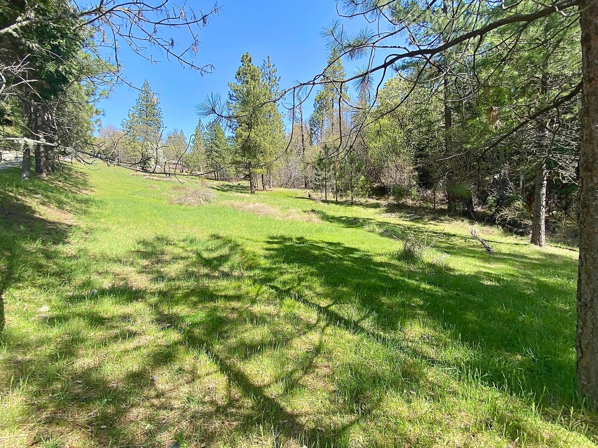 13204 Ramsey Road Gold Hill, OR 97525 - Photo 32 of 34 Ramsey026 copy