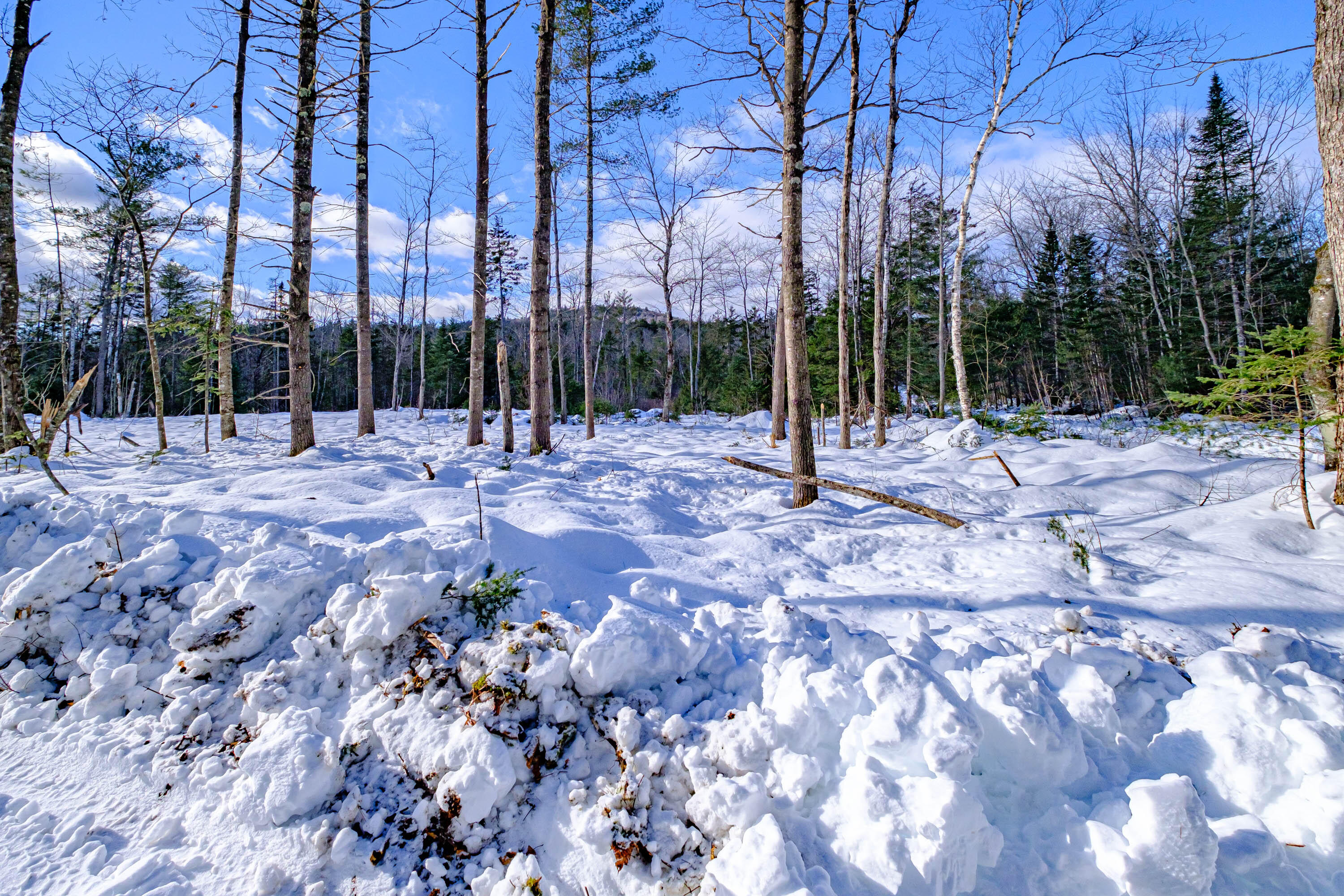 Lot 7-001 Hall Road Bethel, ME 04217 - Photo 6 of 18 20240112gp-62005