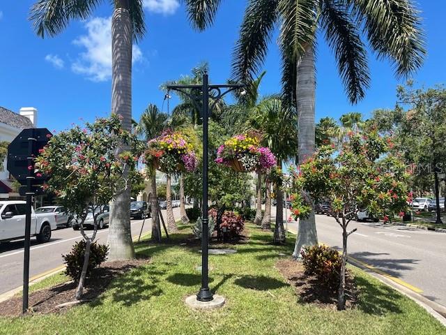 20080 Ragazza Circle, Unit 102 Venice, FL 34293 - Photo 46 of 49 a view of a park with a tree