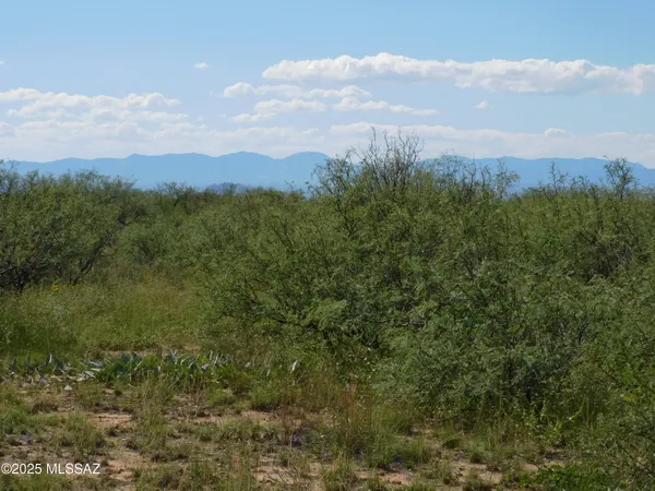 $110,000 | Tbd 40-acr East Tbd 40-acr E Sunrise Drive, Unit A, Pearce, AZ 85625