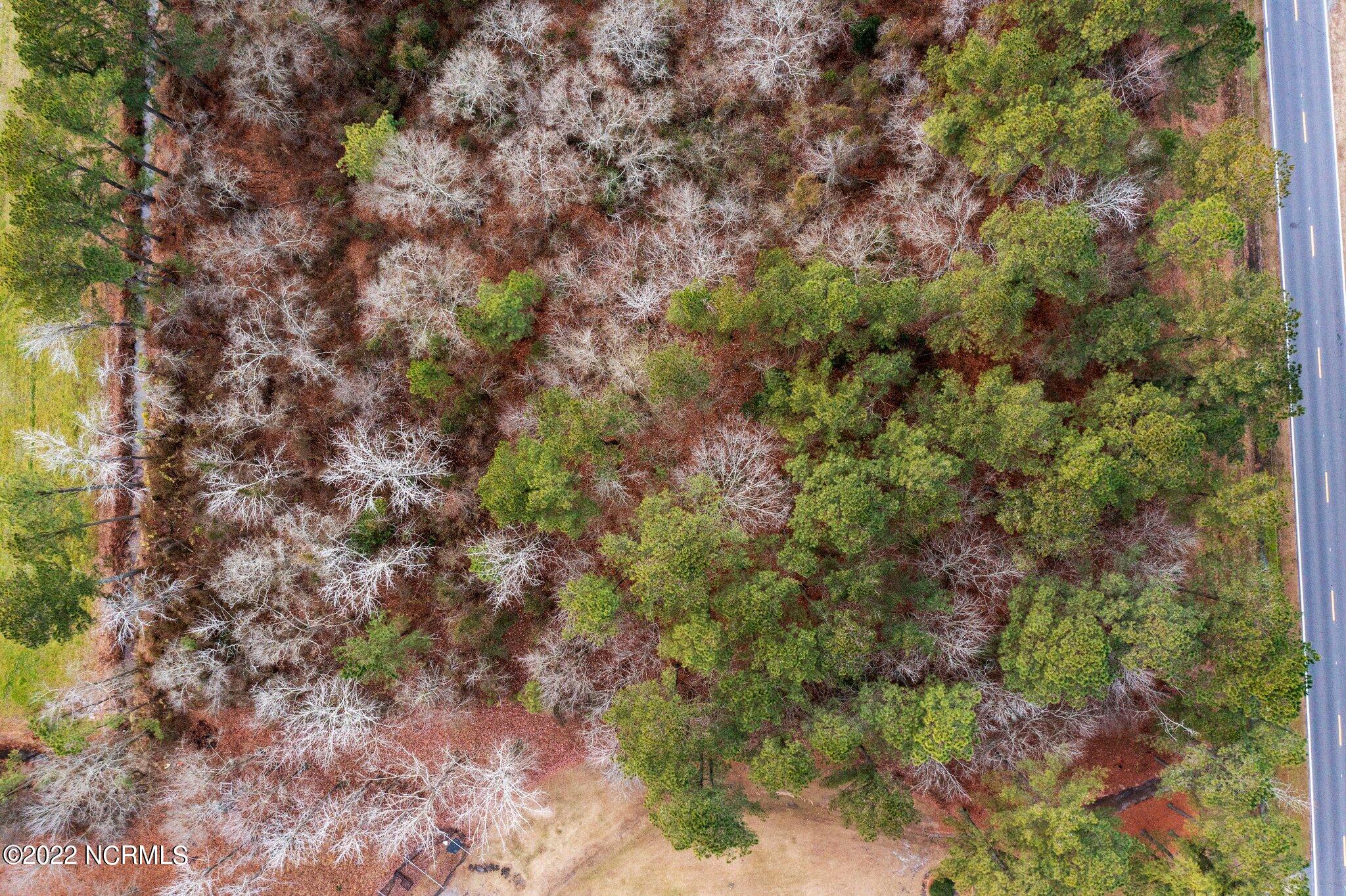 Lot 4 Forlines Road Winterville, NC 28590 - Photo 10 of 10 9-web-or-mls-DJI_0144