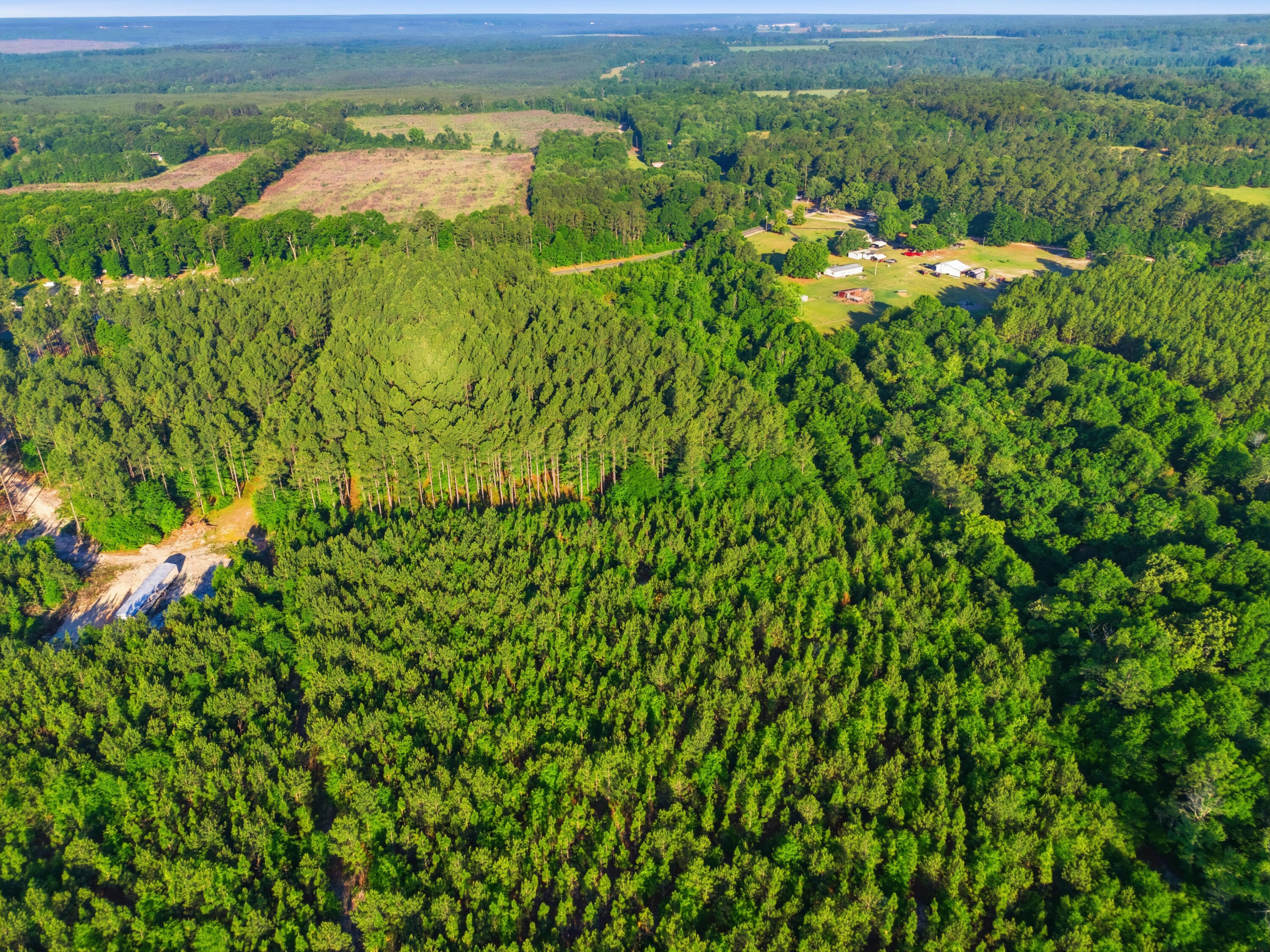 15-acres South Dixie Road Wagener, SC 29164 - Photo 6 of 8