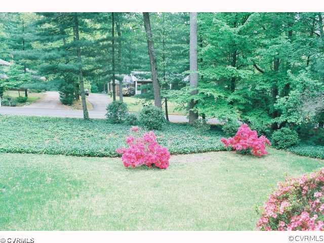Yard/Garden - This is the view from your Front Doo