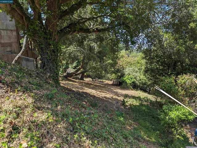 a view of a yard with a tree