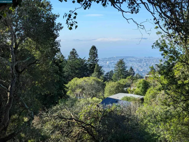 a view of a garden with a house