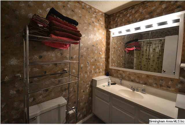 513 Running Brook Road Birmingham, AL 35226 - Photo 12 of 17