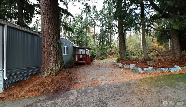 a view of a house with a tree back yard