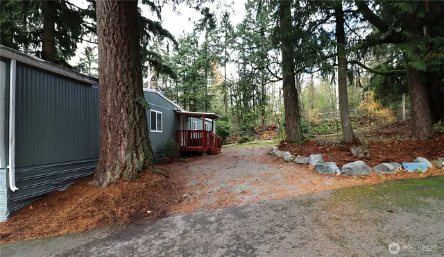 a view of a house with a tree back yard