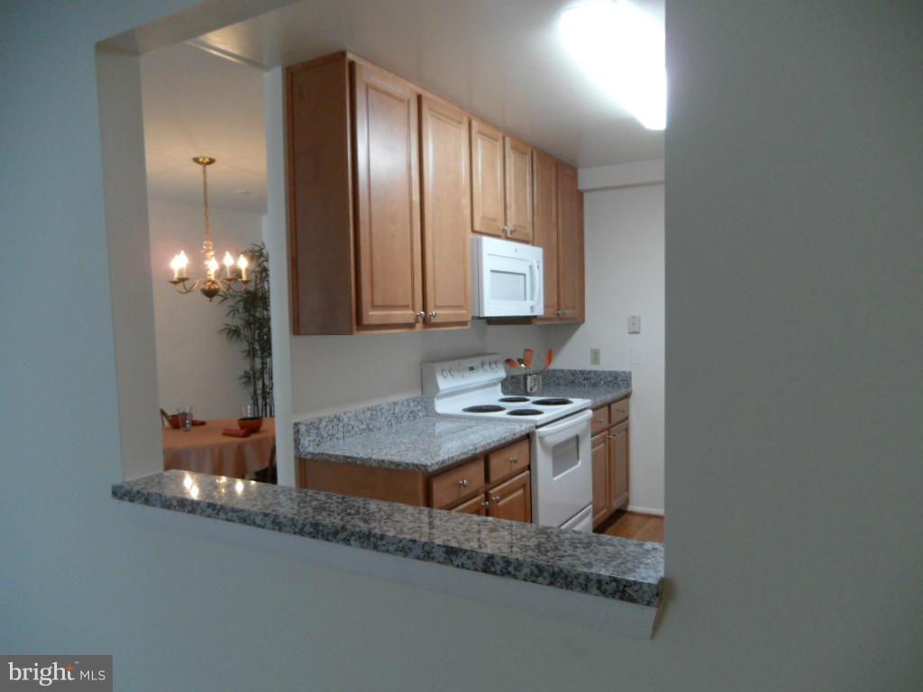 3100 Adderley Court, Unit 246B Silver Spring, MD 20906 - Photo 9 of 23 Kitchen