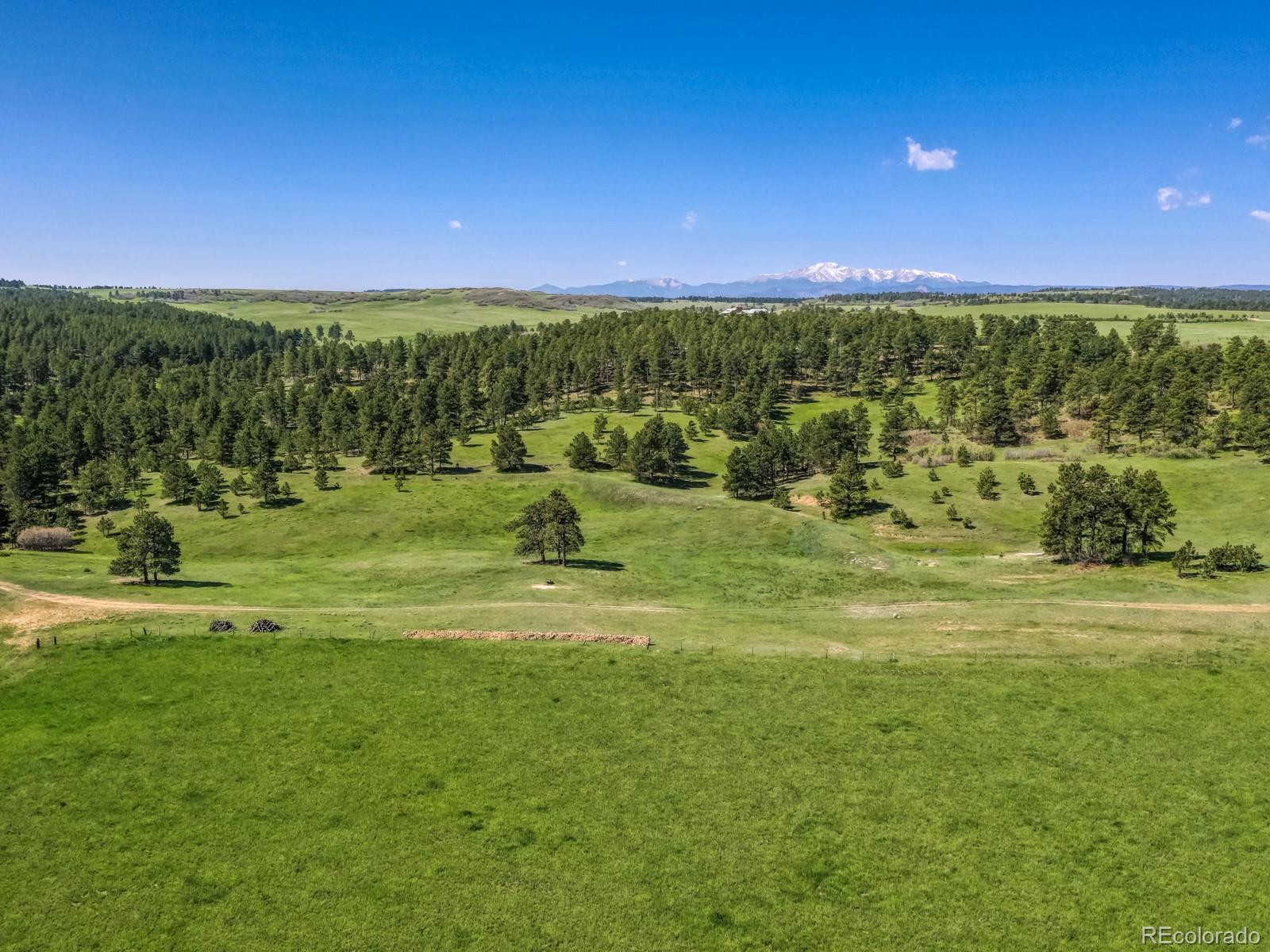 9695 Jones Road Franktown, CO 80116 - Photo 35 of 40 a view of a golf course with a lake