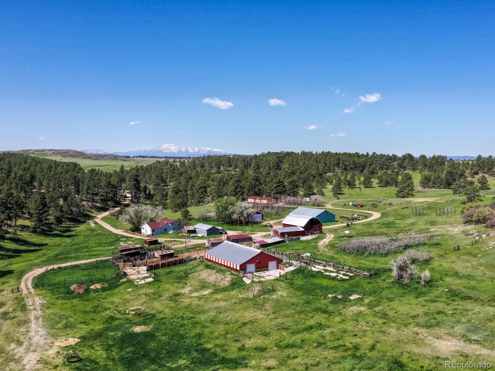 9695 Jones Road Franktown, CO 80116 - Photo 36 of 40 a view of a golf course with chairs