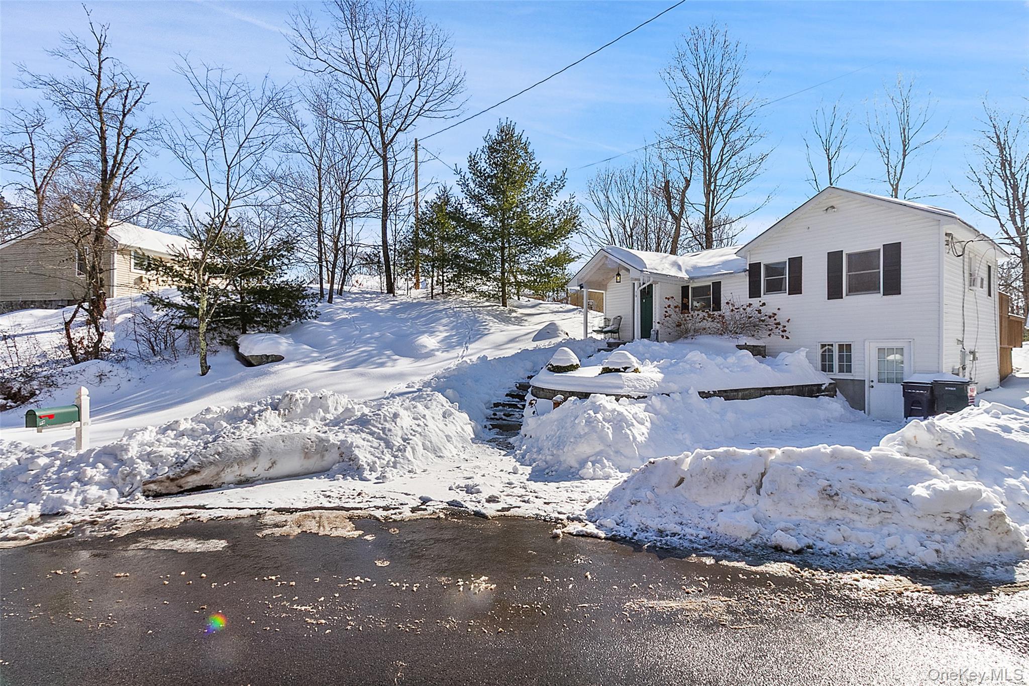 19 Curry Road Mahopac, NY 10541 - Photo 2 of 36 a front view of a house with a yard covered in snow