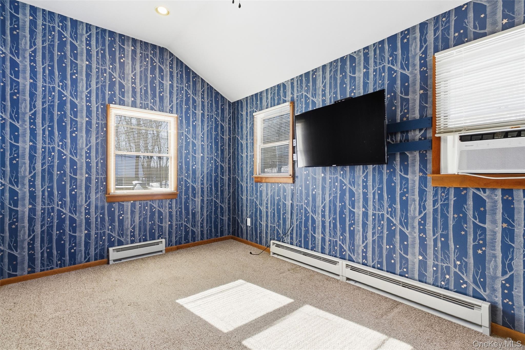 19 Curry Road Mahopac, NY 10541 - Photo 27 of 36 a living room with furniture and a flat screen tv