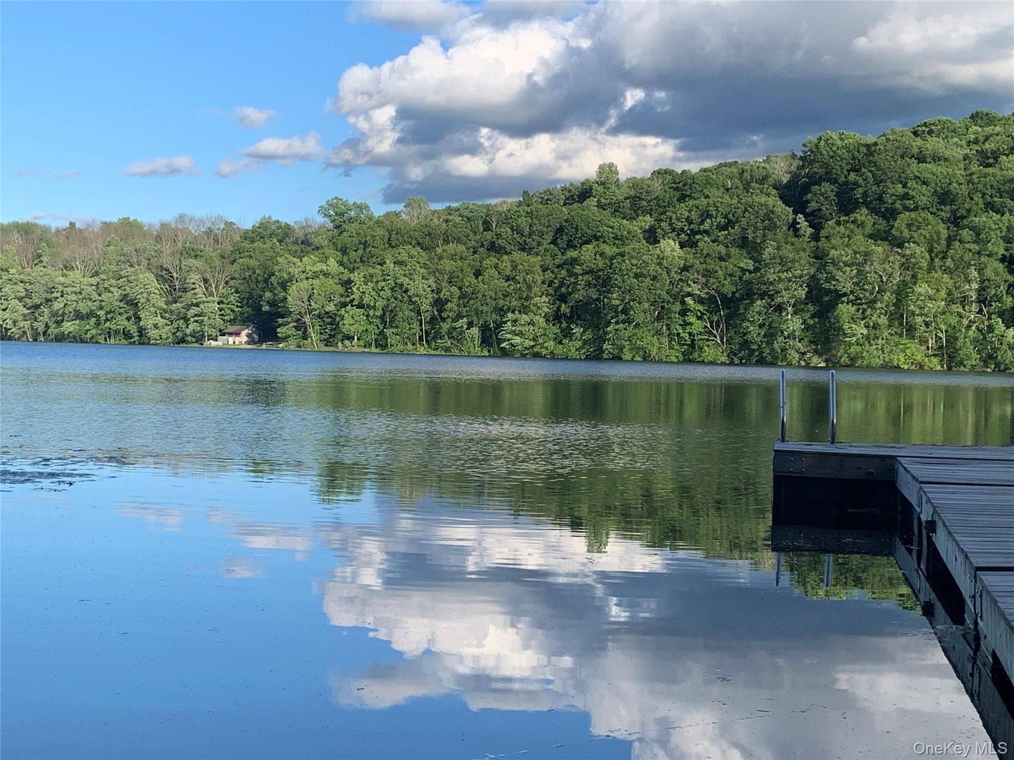 19 Curry Road Mahopac, NY 10541 - Photo 36 of 36 a view of a lake view