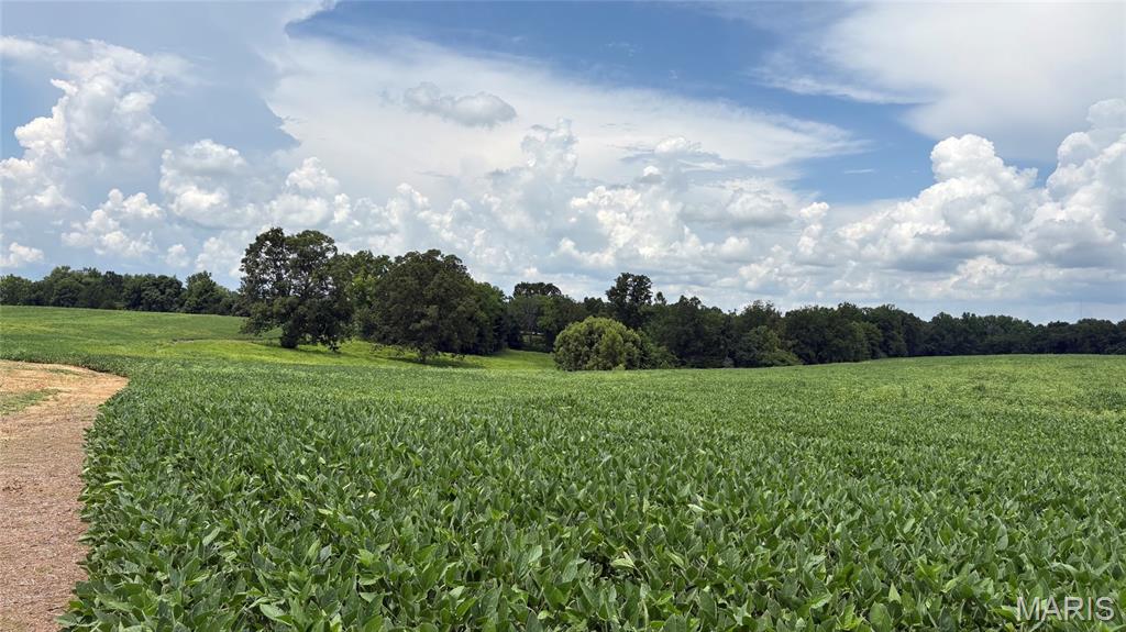 920 South Poplar Camp Road Makanda, IL 62958 - Photo 15 of 53
