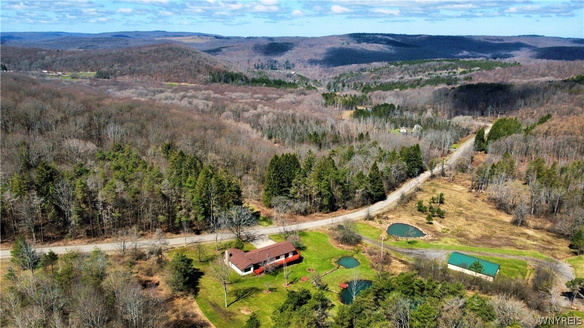 7044 Crane Road Ellicottville, NY 14731 - Photo 49 of 50