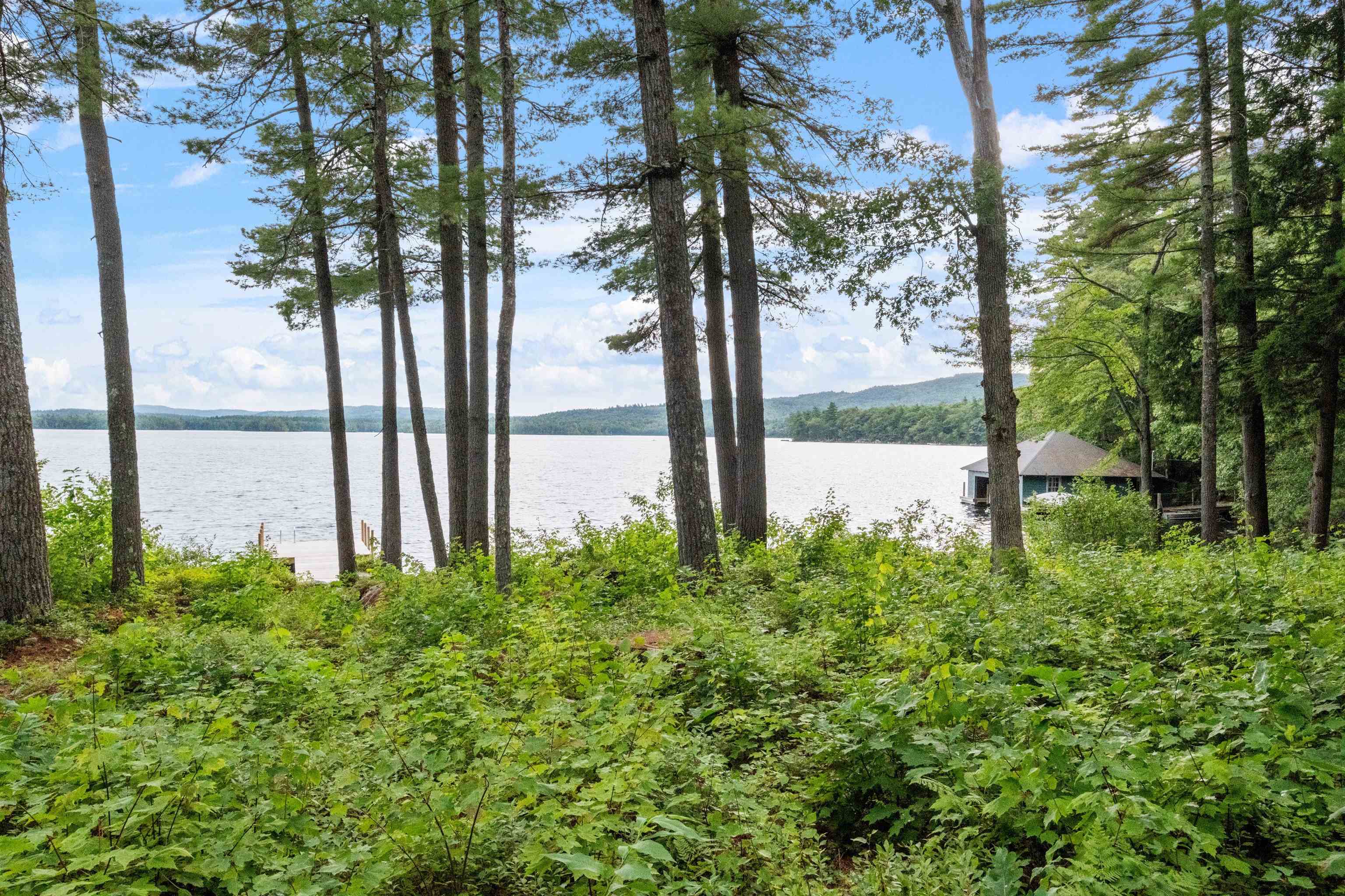 294 Pinehurst Road Sandwich, NH 03227 - Photo 45 of 55