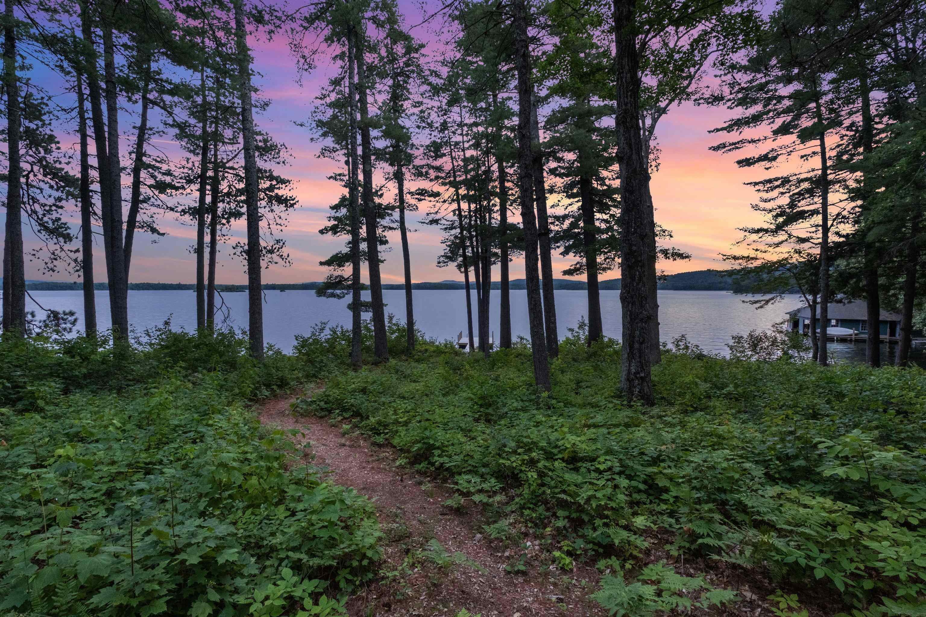 294 Pinehurst Road Sandwich, NH 03227 - Photo 49 of 55