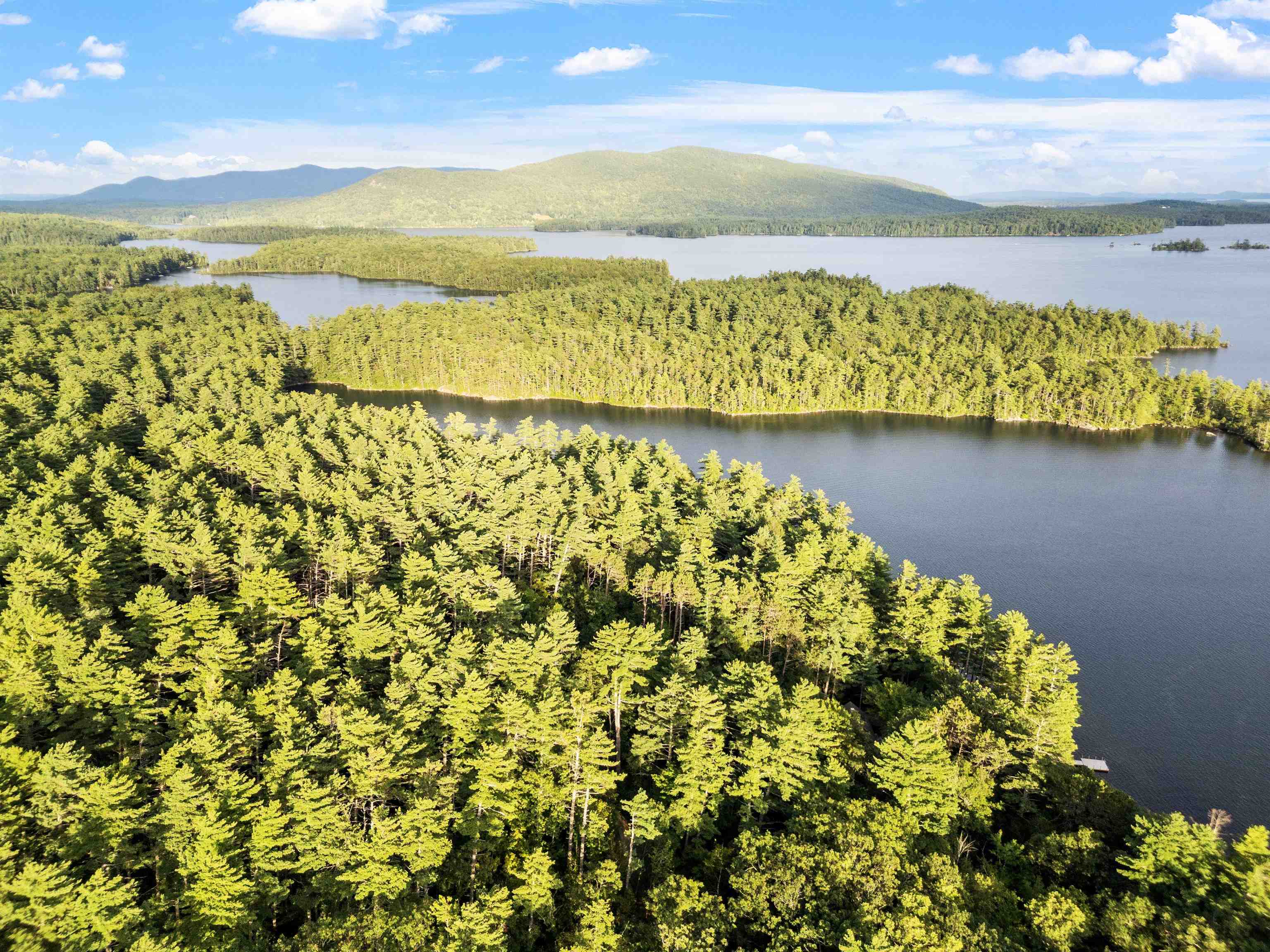 294 Pinehurst Road Sandwich, NH 03227 - Photo 54 of 55