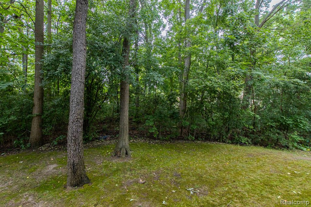 6580 Summit Ridge Clarkston, MI 48346 - Photo 53 of 54
