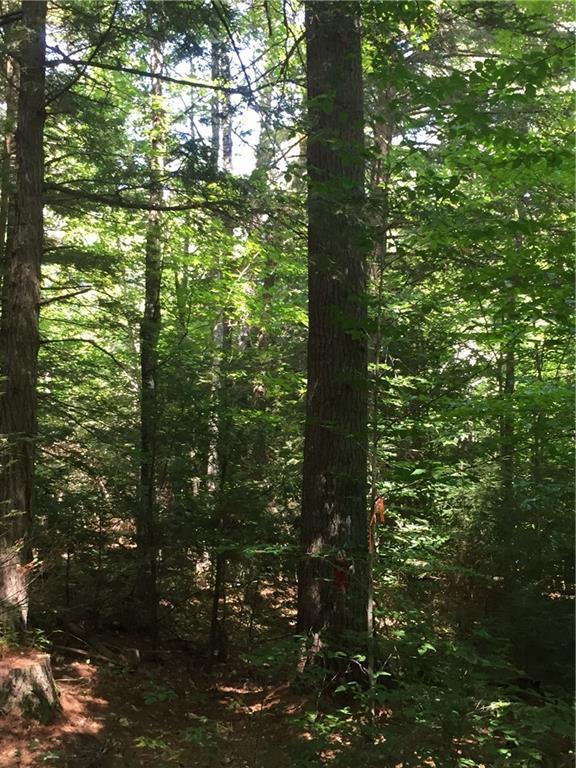 Lot 10 Brown Road East Baldwin, ME 04024 - Photo 15 of 20 Woodlands.
