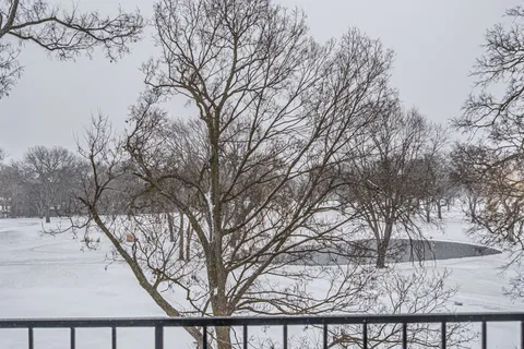 a view of backyard with large trees