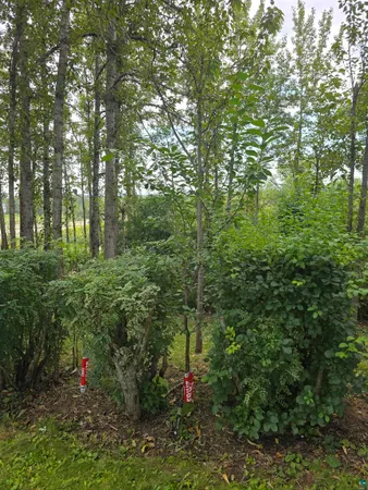 $220,000 | 5881 Old Highway 61, Duluth, MN 55810
