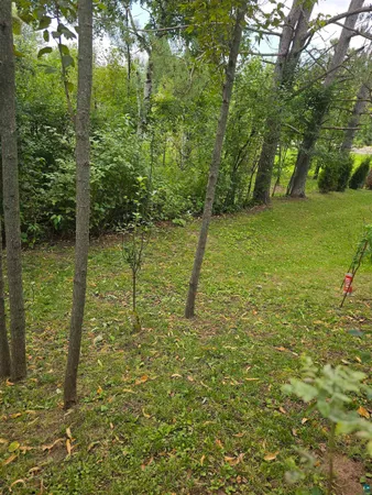 $220,000 | 5881 Old Highway 61, Duluth, MN 55810
