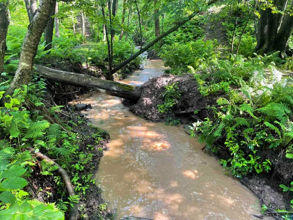 $220,000 | 5881 Old Highway 61, Duluth, MN 55810