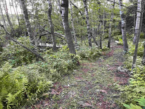 $220,000 | 5881 Old Highway 61, Duluth, MN 55810