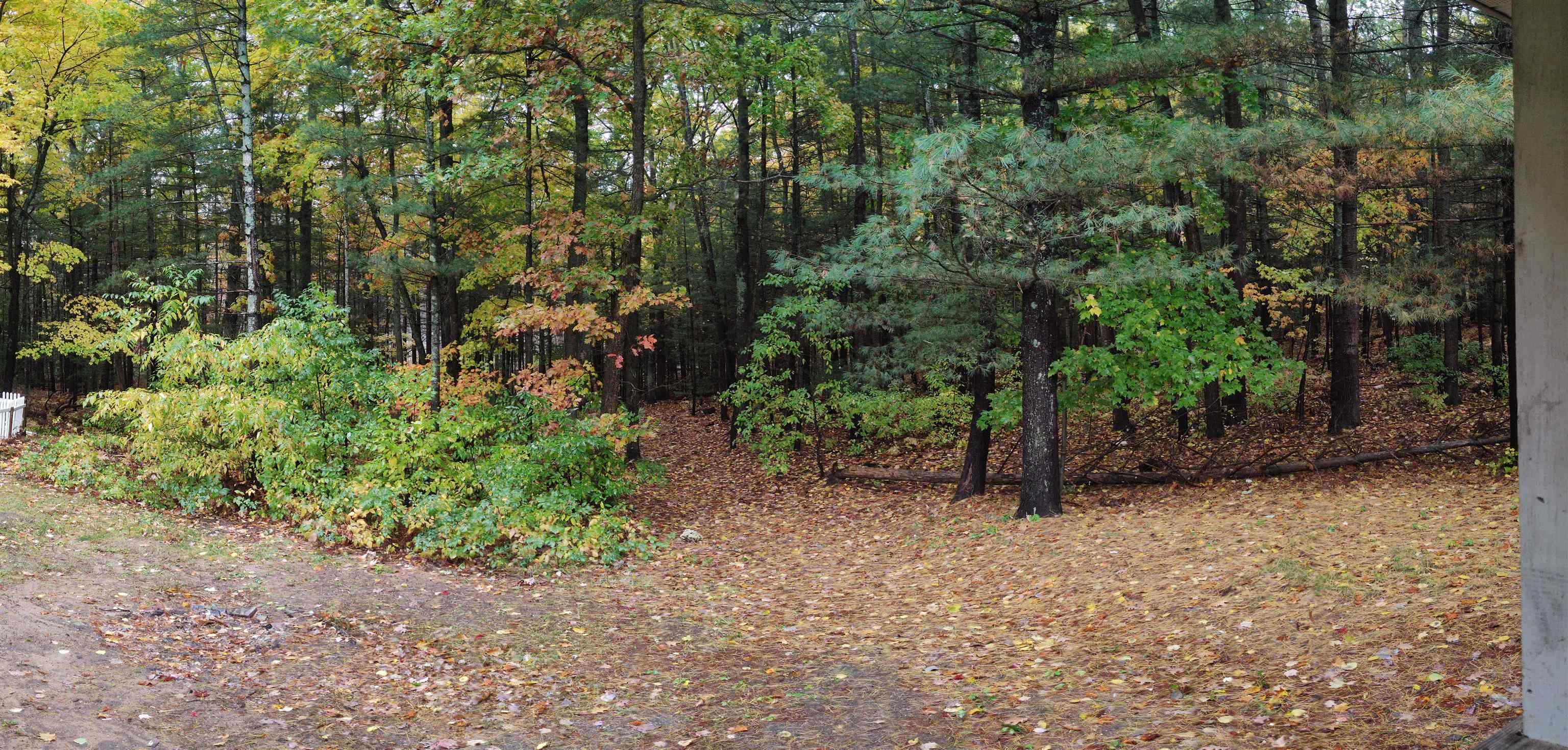 10239 Mud Lake Road Interlochen, MI 49643 - Photo 10 of 10 1906219-9.JPG