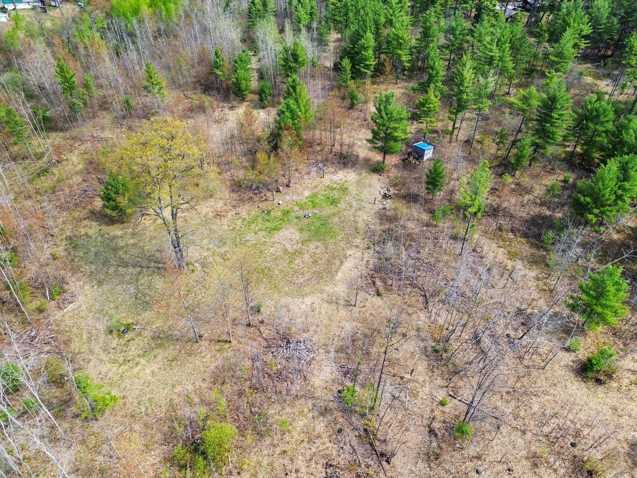 6595 Wickert Road Hale, MI 48739 - Photo 10 of 26