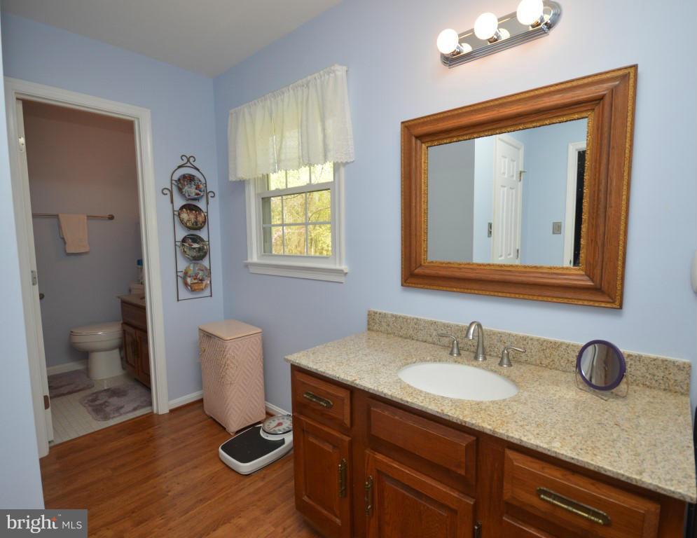 6386 Old Bust Head Road Broad Run, VA 20137 - Photo 18 of 30 Bath (Master)