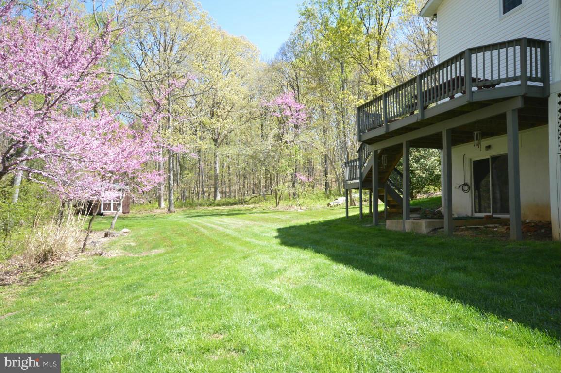 6386 Old Bust Head Road Broad Run, VA 20137 - Photo 21 of 30 Side Yard & Deck