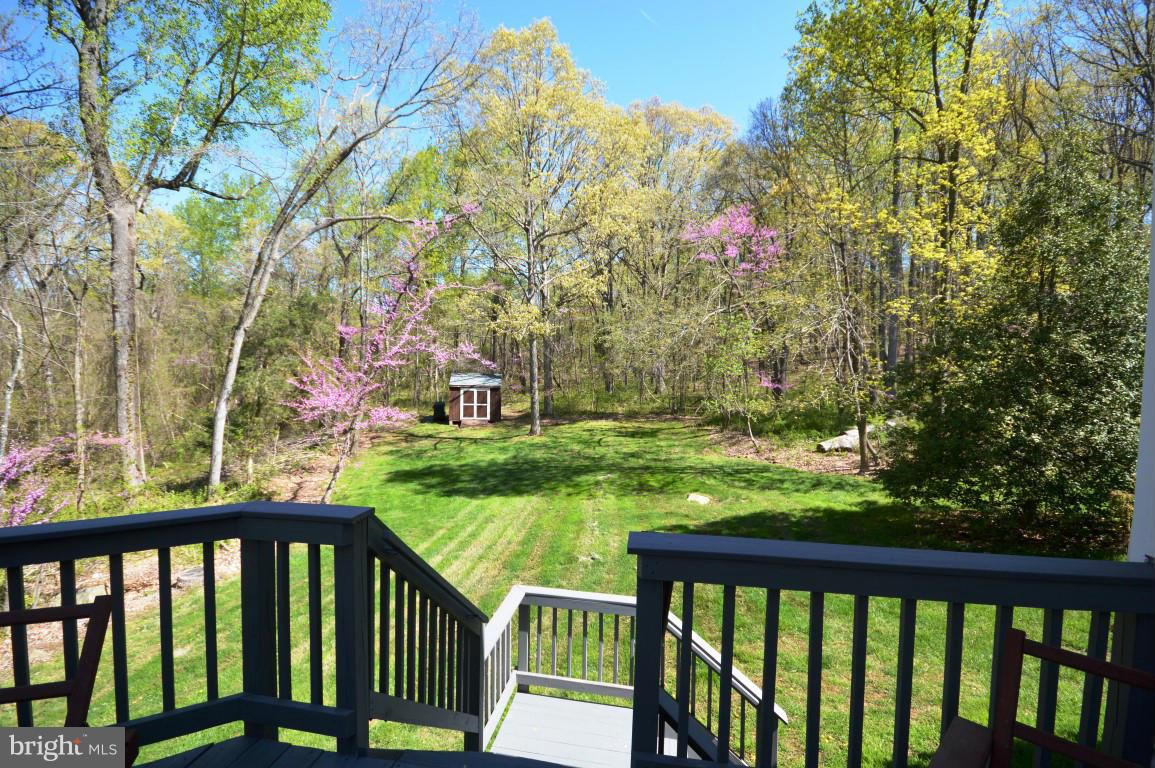 6386 Old Bust Head Road Broad Run, VA 20137 - Photo 24 of 30 View From deck