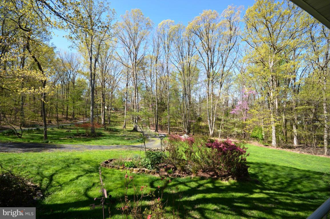 6386 Old Bust Head Road Broad Run, VA 20137 - Photo 25 of 30 View from front porch