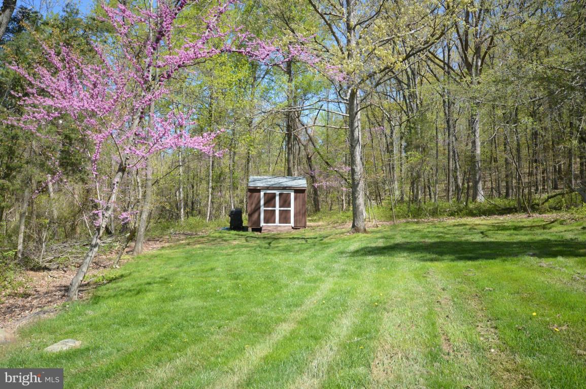 6386 Old Bust Head Road Broad Run, VA 20137 - Photo 28 of 30 Shed