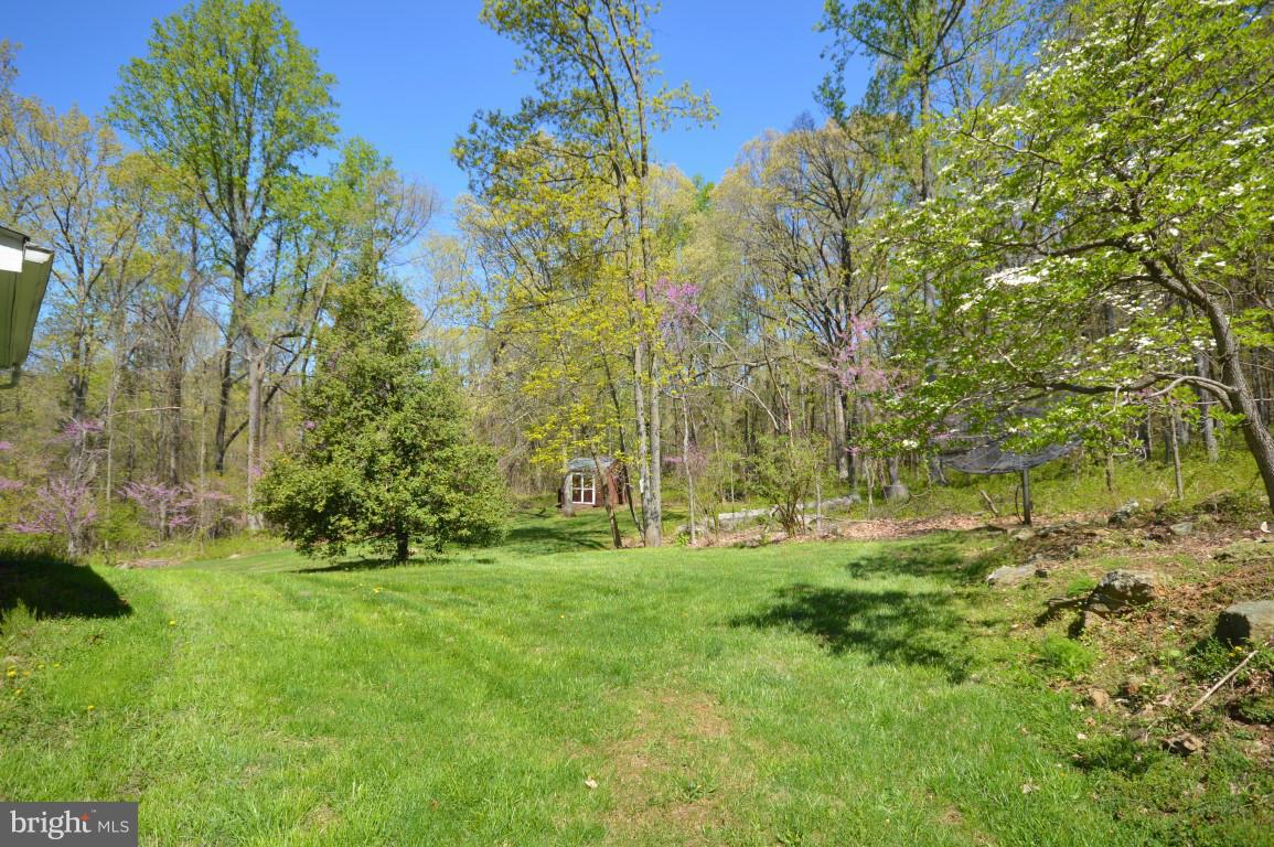 6386 Old Bust Head Road Broad Run, VA 20137 - Photo 30 of 30 Backyard 2