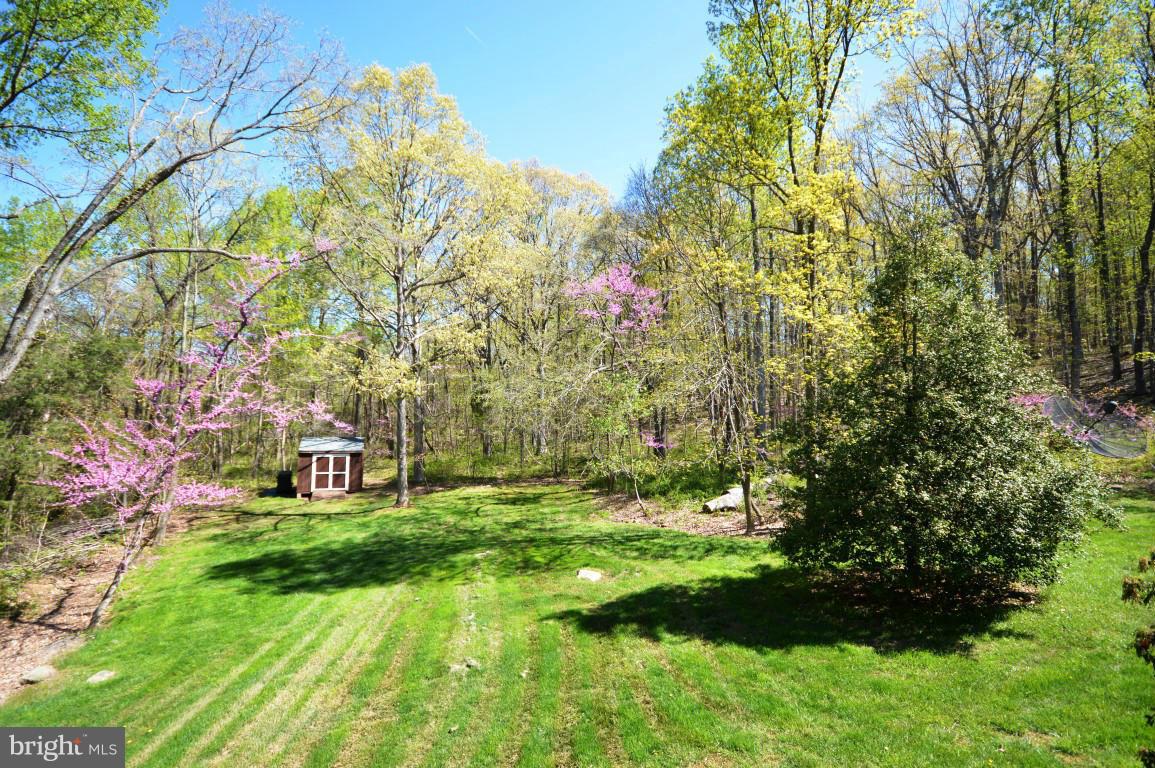 6386 Old Bust Head Road Broad Run, VA 20137 - Photo 4 of 30 Backyard