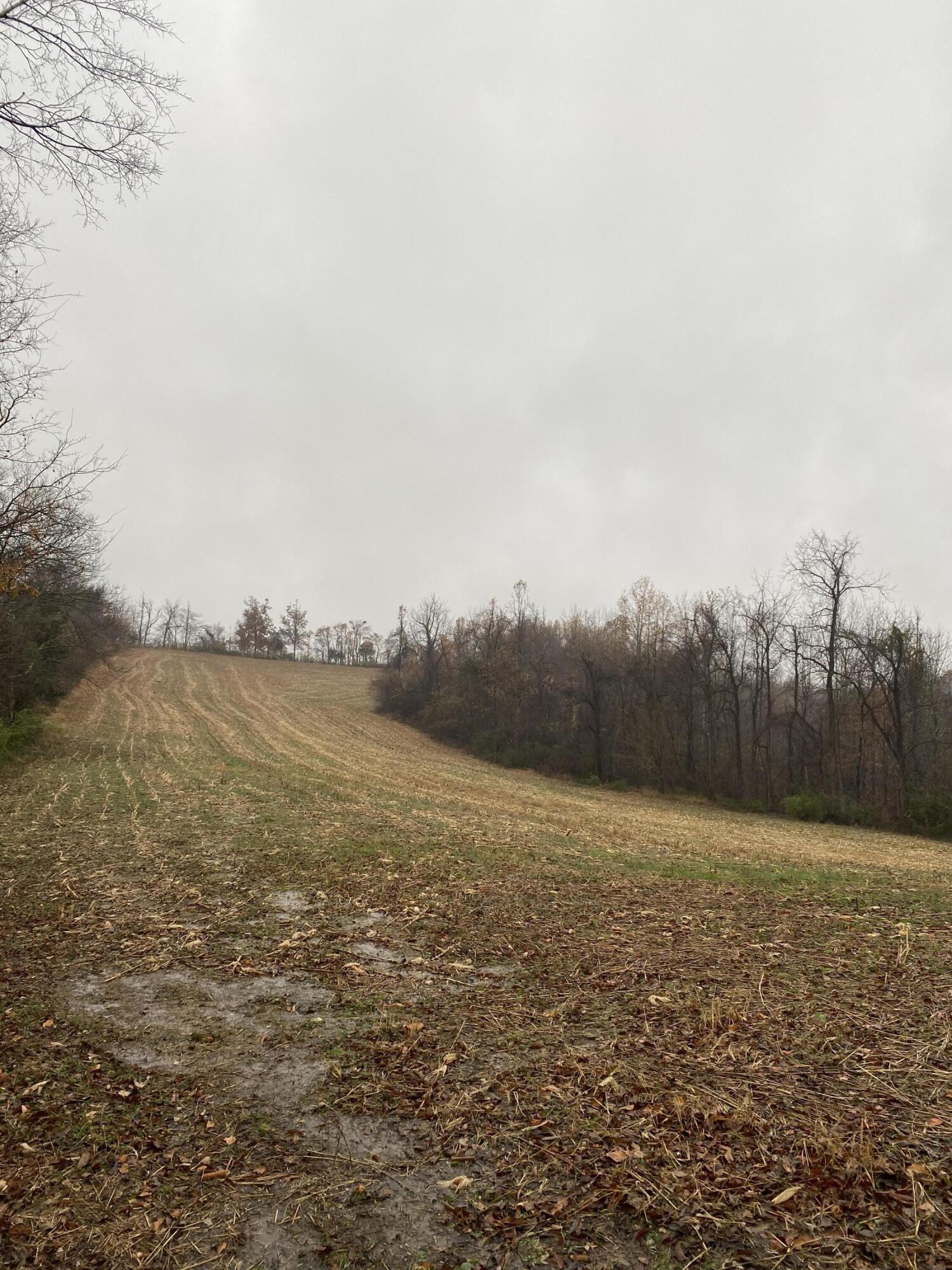1265 Greasy Ridge Road Stanford, KY 40484 - Photo 1 of 16 4rbsUZN7SSW3pBhUB77k8Q