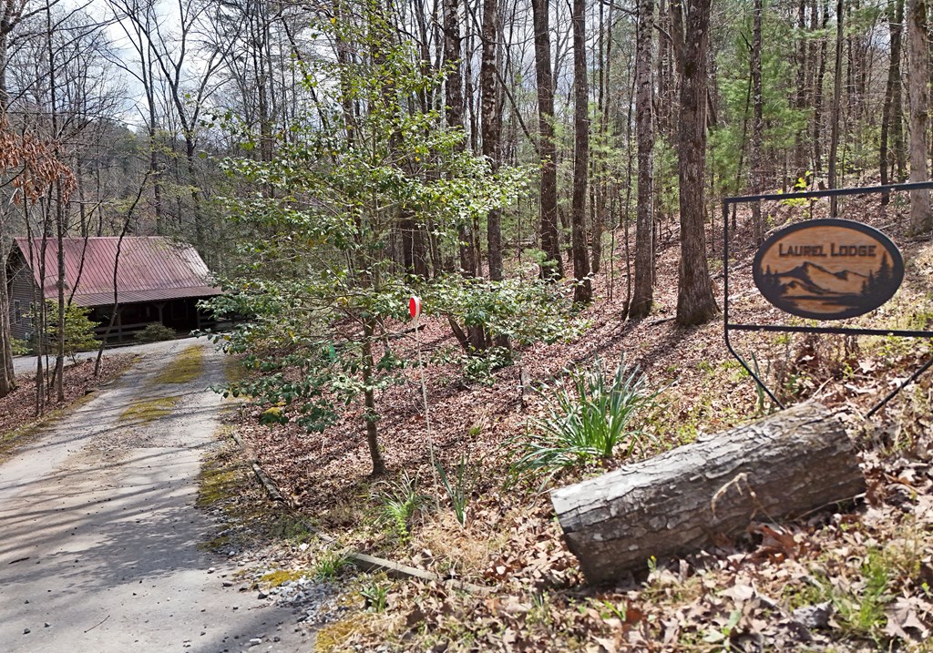 545 Laurel Circle Blue Ridge, GA 30513 - Photo 3 of 54 a view of a pathway with a yard