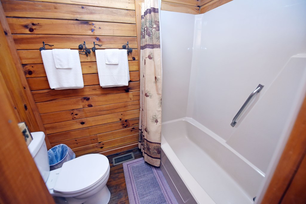 545 Laurel Circle Blue Ridge, GA 30513 - Photo 39 of 54 a bathroom with a toilet and a bathtub