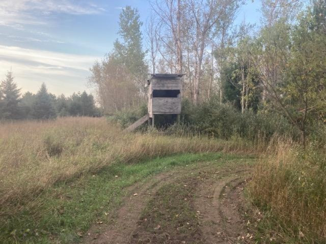 13 13 Mile Road Mesick, MI 49668 - Photo 1 of 34 IMG_7467