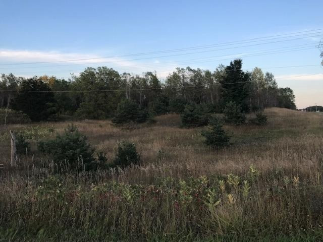 13 13 Mile Road Mesick, MI 49668 - Photo 13 of 34 IMG_4169