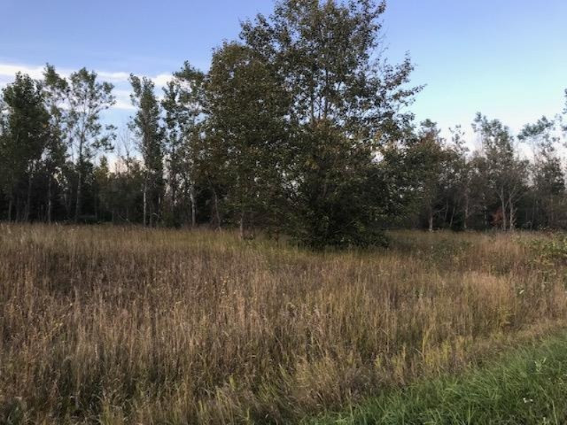13 13 Mile Road Mesick, MI 49668 - Photo 15 of 34 IMG_4172