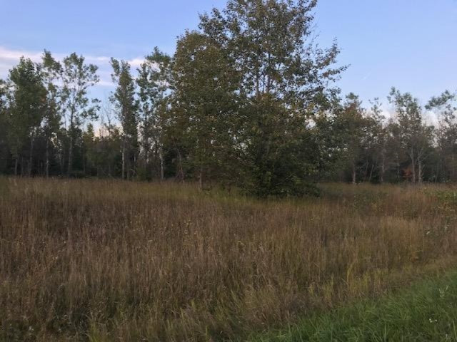 13 13 Mile Road Mesick, MI 49668 - Photo 16 of 34 IMG_4173