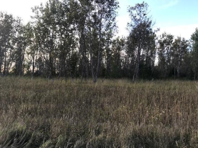 13 13 Mile Road Mesick, MI 49668 - Photo 17 of 34 IMG_4174