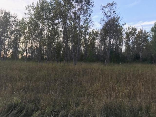13 13 Mile Road Mesick, MI 49668 - Photo 18 of 34 IMG_4175