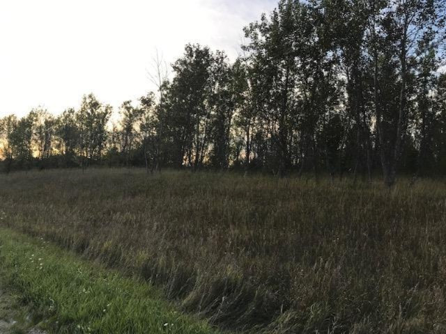 13 13 Mile Road Mesick, MI 49668 - Photo 19 of 34 IMG_4176